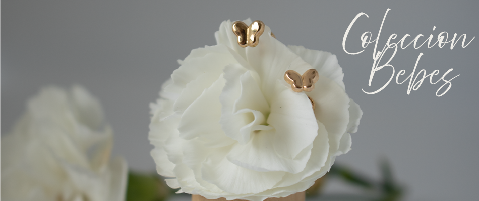 Conoce nuestros medios de pago